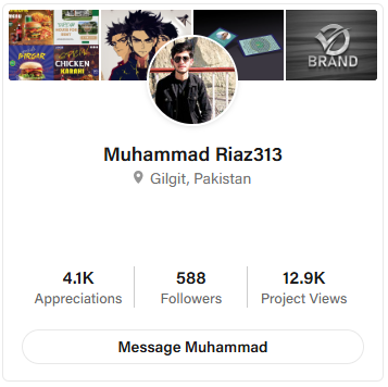 Top 10 Graphic Designers in Pakistan 5 image 5